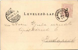 1899 (Vorläufer) Herkulesfürdő, Baile Herculane; Herkulesbrunnen / szökőkút. Emil Jäger kiadása / fo...