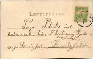 1903 Marosvásárhely, Targu Mures; Fő tér, Bem szobor, Petrás Géza és Pototzky Péter üzlete, piac. Pe...