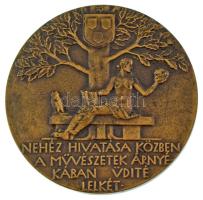 Beck Ötvös Fülöp (1873-1945) 1934. "Dr. Tóth István" kétoldalas bronz emlékérem. "TÓT...