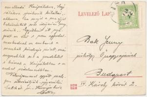 Visk, Várhegy-gyógyfürdő, Vyshkovo (Máramaros); Részlet a Héder gyümölcsösből / orchard