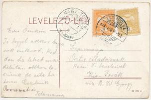 1909 Zsombolya, Hatzfeld, Jimbolia; Gróf Csekonics kastély és Flórián szobor, piac. W.L. Bp. 1992. /...