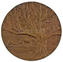 Léderer Tamás (1938-) 1972. "Nyisztor György Díj" kétoldalas bronz emlékplakett (99mm) T:A...