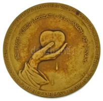 Berán Lajos (1882-1943) 1936. "Kálvin Institúciójának 400 éves emlékezetére - Magyar Református...