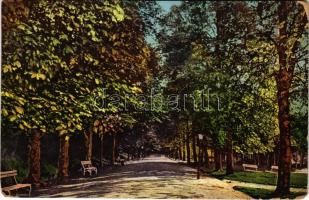 1917 Szliácsfürdő, Kúpele Sliac; Rusegger Allee / Ruszéger sétány / promenade, park (EK)