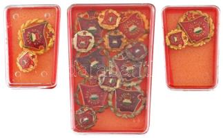 ~1970-1980. "Szocialista Brigád" zománcozott jelvény miniatűrrel (8db, 3xklf: arany-, ezüst- és bronzfokozat) T:AU,XF