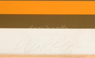 Vasarely, Victor (1908-1997): Op-art kompozíció. Szitanyomat, papír, jelzett, számozott (58/90), apr...