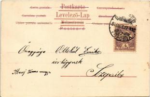 1900 Art Nouveau lady art postcard, Floral. Serie "Klio" Dessin 8. E.S.D.B. (fl)