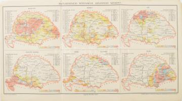 cca 1890-1900 Magyarország népessége anyanyelv szerint, rajzolta: Homolka József, a Pallas Nagy Lexikona melléklete, Bp., Posner Károly Lajos és Fia, 43x24 cm