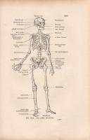 Platen, M[oritz]: 
Az új gyógymód. A természetszerű életmódnak, az egészség ápolásának és a gyógysz...