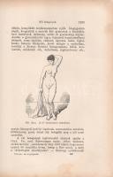 Platen, M[oritz]: 
Az új gyógymód. A természetszerű életmódnak, az egészség ápolásának és a gyógysz...