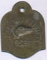 1929. "Zemplén vármegye" bronz ebadójegy / kutyabárca, "5794" sorszámmal (39x31m...