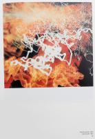 Lengyel László: Kepes György Művészete - The art of Gyorgy Kepes. Eger, 1992, Eger Megyei Jogú Város...