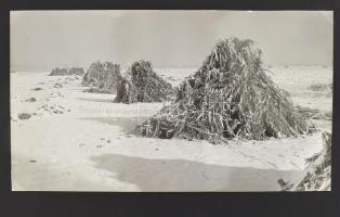 Kovács Gyula: A puszta télen, fotósarokkal kartonra ragasztva, 14×24 cm