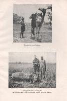 Almásy László: 
Autóval Szudánba. Első autó-utazás a Nílus mentén. Vadászatok Angol-Egyiptomi Szudá...