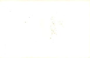 Ikarus 55 LUX autóbusz. photo (fl) (non PC)