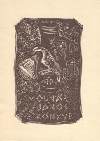 Nagyenyedi album (1926). Szerkeszti: Lukinich Imre.
Budapest, 1926. A Nagyenyedi Bethlen-kollégium ...