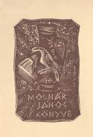 Réthy László: 
Az oláh nyelv és nemzet megalakulása.
Nagy-becskerek, 1890. Pleitz Ferenc Pál könyv...