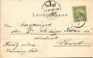 1907 Drávafok (Baranya), Bittó kastély, Református templom. Corvina Műintézet kiadása (fa)