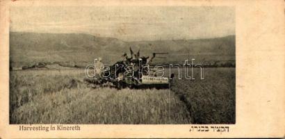 1923 Harvesting in Kinereth, Massey-Harris tractor. Judaica (14 cm x 7 cm) (EB)