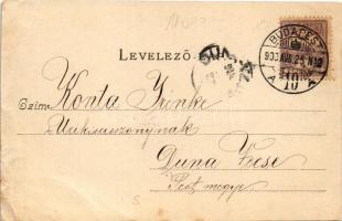 1900 Budapest X. Kőbánya, pályaudvar, vasútállomás, gőzmozdony, vonat. Divald Károly 315. (EB)