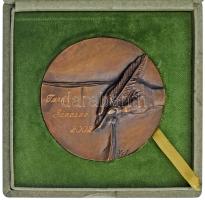 Kiss György (1943-2016) 2002. "Pro Eötvös Díj" kétoldalas bronz emlékérem, eredeti dísztok...