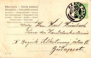 1911 Art Nouveau lady, Floral. E.S.W. s: E. Kosa (szakadás / tear)