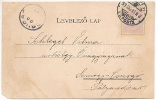 1899 (Vorläufer) Budapest XII. Svábhegy, gyógyszertár, fogaskerekű vasút sínek. Károlyi György kiadá...