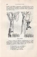 A Szovjetunió. Szerkesztette: Bolgár Elek. I. kötet. [Unicus, nem jelent meg több kötet.]
Budapest,...