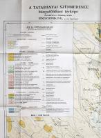 A tatabányai szénmedence bányaföldtani térképe. Összeállította és földtanilag felvette Rozlozsnik Pá...