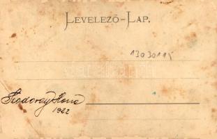 Tátra, Magas-Tátra, Vysoké Tatry; Csorbatói fogaskerekű vasútállomás, vonat, gőzmozdony / Strbské Pl...