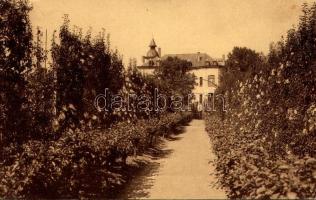 La Hulpe, Ecole Provinciale de Viticulture et d'Arboriculture fruitiere, Allée centrale du jardin fruitier / Provincial School of Viticulture and Fruit Arboriculture, Central alley of the fruit garden (EK)