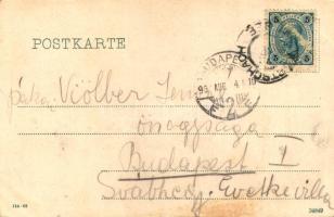 1902 Wörthersee, Sommerfest / summer festival on the lake (EK)