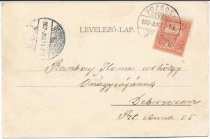 1902 Pozsony, Pressburg, Bratislava; Kefegyár, villamos. Verlag Bediene dich allein / Bürsten-Fabrik...