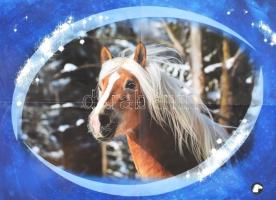 5 db modern lovas poszter, változó méretben és állapotban