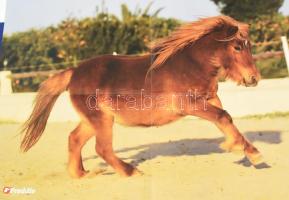 5 db modern lovas poszter, változó méretben és állapotban