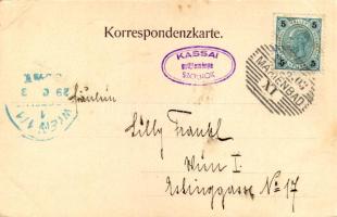 1903 Mariánské Lázne, Marienbad; Waldquelle / mineral water spring