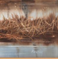 Kovrig Miklós (1951-): Tavasz (vadkacsák). Olaj, farost. Jelzett. Hátoldalán autográf felirattal és ...