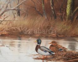 Kovrig Miklós (1951-): Tavasz (vadkacsák). Olaj, farost. Jelzett. Hátoldalán autográf felirattal és ...