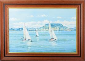 V. Tóth Gábor (1966-): Balaton (vitorlások). Olaj, farost, jelzett, 40x60cm. Dekoratív fakeretben.