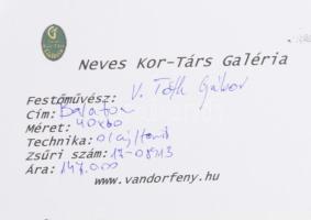 V. Tóth Gábor (1966-): Balaton (vitorlások). Olaj, farost, jelzett, 40x60cm. Dekoratív fakeretben