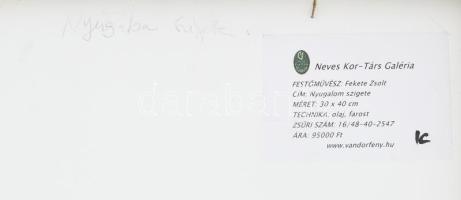 Fekete Zsolt (1964-): Nyugalom szigete. Olaj, farost, jelzett, dekoratív fakeretben. 30×40 cm