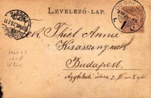 1900 Debrecen, Csokonai szobor (fl)