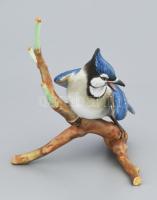 Herendi Kék szajkó. Jelzett, kézzel festett, hibátlan, dobozában, 20x18 cm. /// Herendi Blue Jay. Si...