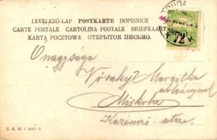 Kisfiú barkával / Boy with pussy willow. B.K.W.I. 4017-5. (EK)