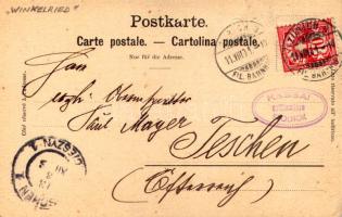 1901 Vierwaldstättersee, Lake Lucerne; Brunnen mit den Mythen, SS "WINKELRIED"