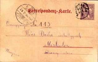 1900 Cieszyn, Teschen; Herz-Jesu-Kirche, Alléestraße, Erzherz. Schloß / church, street view, castle....