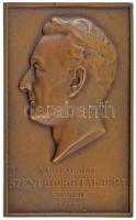 Szentgyörgyi István (1881-1938) 1937. "Nagyrápolti Szent-Györgyi Albert - Szeged" egyoldalas bronz plakett (81x50mm) T:AU kis ph.