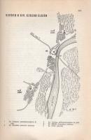 Györffy György: 
Az Árpád-kori Magyarország történeti földrajza I-IV.
Budapest, 1987-1998. Akadémi...