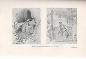 Pintér Jenő: 
Pintér Jenő Magyar irodalomtörténete. Képes kiadás. I-II. kötet. [Teljes mű két kötet...