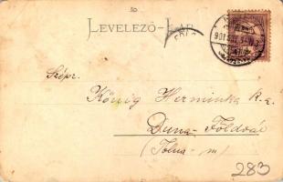 1901 Eger, Erlau; Új városház, Braun Adolf, Détsy és Rothschild, Lázár Jónás és Társai üzlete, gyógy...